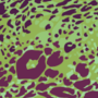 Free pebble camouflage patterns